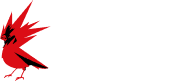 CD PROJEKT RED